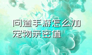 问道手游怎么加宠物亲密值