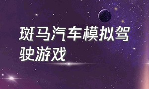 斑马汽车模拟驾驶游戏