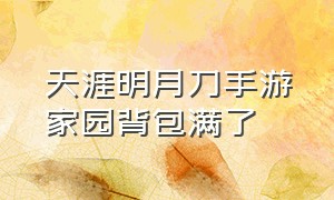 天涯明月刀手游家园背包满了