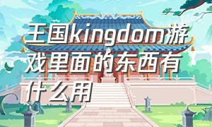 王国kingdom游戏里面的东西有什么用