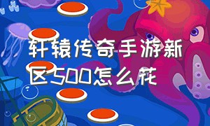 轩辕传奇手游新区500怎么花