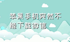 苹果手机突然不能下载微信