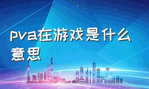 pva在游戏是什么意思