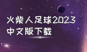 火柴人足球2023中文版下载