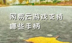 网易云游戏支持哪些手柄