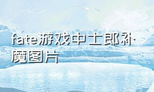 fate游戏中士郎补魔图片