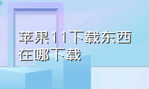 苹果11下载东西在哪下载