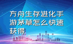 方舟生存进化手游茅草怎么快速获得