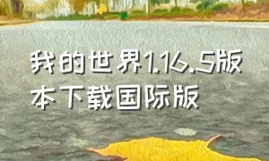 我的世界1.16.5版本下载国际版