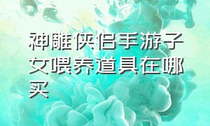 神雕侠侣手游子女喂养道具在哪买