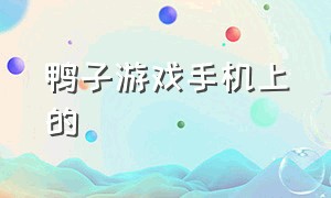 鸭子游戏手机上的（抓鸭子游戏视频手机上玩的）