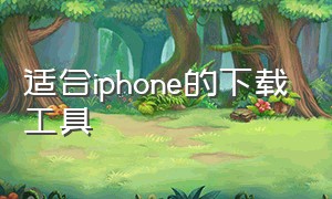 适合iphone的下载工具（iphone可下载的官方软件）