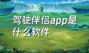 驾驶伴侣app是什么软件（驾驶伴侣app怎么选择路线）