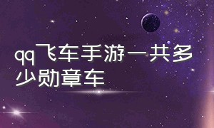 qq飞车手游一共多少勋章车