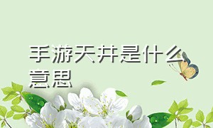 手游天井是什么意思