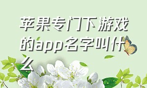 苹果专门下游戏的app名字叫什么