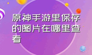 原神手游里保存的图片在哪里查看