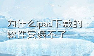 为什么ipad下载的软件安装不了