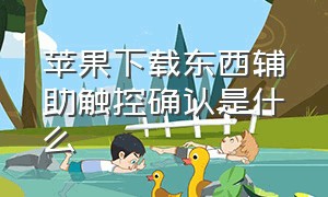 苹果下载东西辅助触控确认是什么