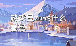 游戏里zone什么意思