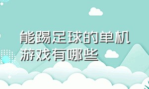 能踢足球的单机游戏有哪些（电脑踢足球的游戏哪个好玩）