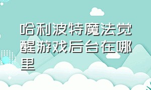 哈利波特魔法觉醒游戏后台在哪里（哈利波特魔法觉醒卡在游戏界面里）