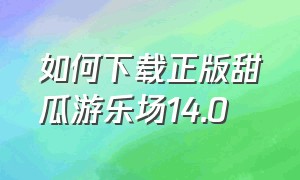 如何下载正版甜瓜游乐场14.0