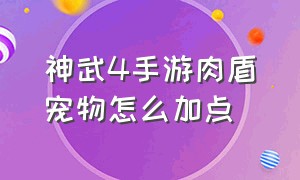 神武4手游肉盾宠物怎么加点