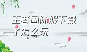 王者国际服下载了怎么玩（王者国际服在哪下载）