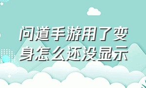 问道手游用了变身怎么还没显示（问道手游怎么在游戏里显示时间）