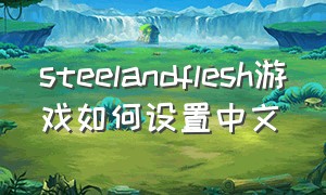 steelandflesh游戏如何设置中文