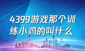 4399游戏那个训练小鸡的叫什么