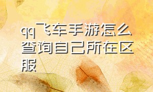 qq飞车手游怎么查询自己所在区服（qq飞车手游充值折扣平台）