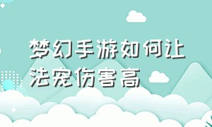 梦幻手游如何让法宠伤害高