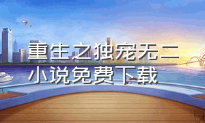 重生之独宠无二小说免费下载