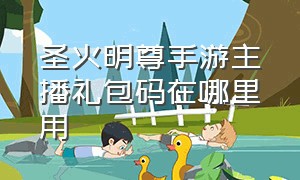 圣火明尊手游主播礼包码在哪里用