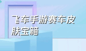 飞车手游赛车皮肤宝箱