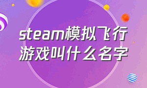 steam模拟飞行游戏叫什么名字