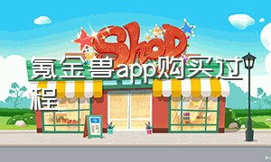 氪金兽app购买过程（氪金兽app下载入口在哪里）