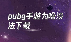 pubg手游为啥没法下载