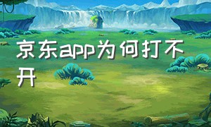 京东app为何打不开（今天上午京东app突然打不开）