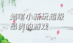 蜡笔小新玩超级昂贵的游戏