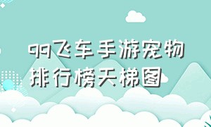 qq飞车手游宠物排行榜天梯图（qq飞车手游宠物排行榜2024）
