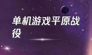 单机游戏平原战役（军事守城的单机游戏）