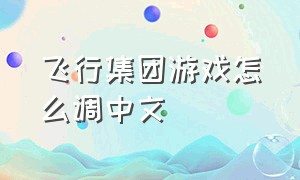 飞行集团游戏怎么调中文（飞行集团这个游戏怎么下载不了）