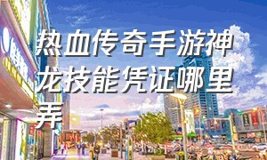 热血传奇手游神龙技能凭证哪里弄