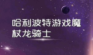 哈利波特游戏魔杖龙骑士