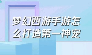 梦幻西游手游怎么打造第一神宠（梦幻西游手游神宠哪几个值得弄）