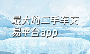 最大的二手车交易平台app