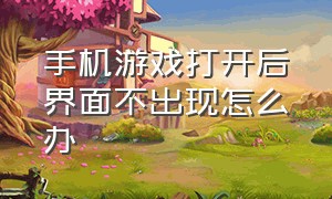 手机游戏打开后界面不出现怎么办